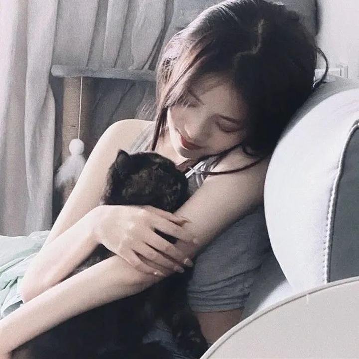 十二猴子第四季