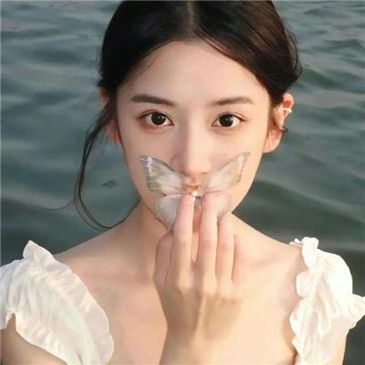 鲨与鲸